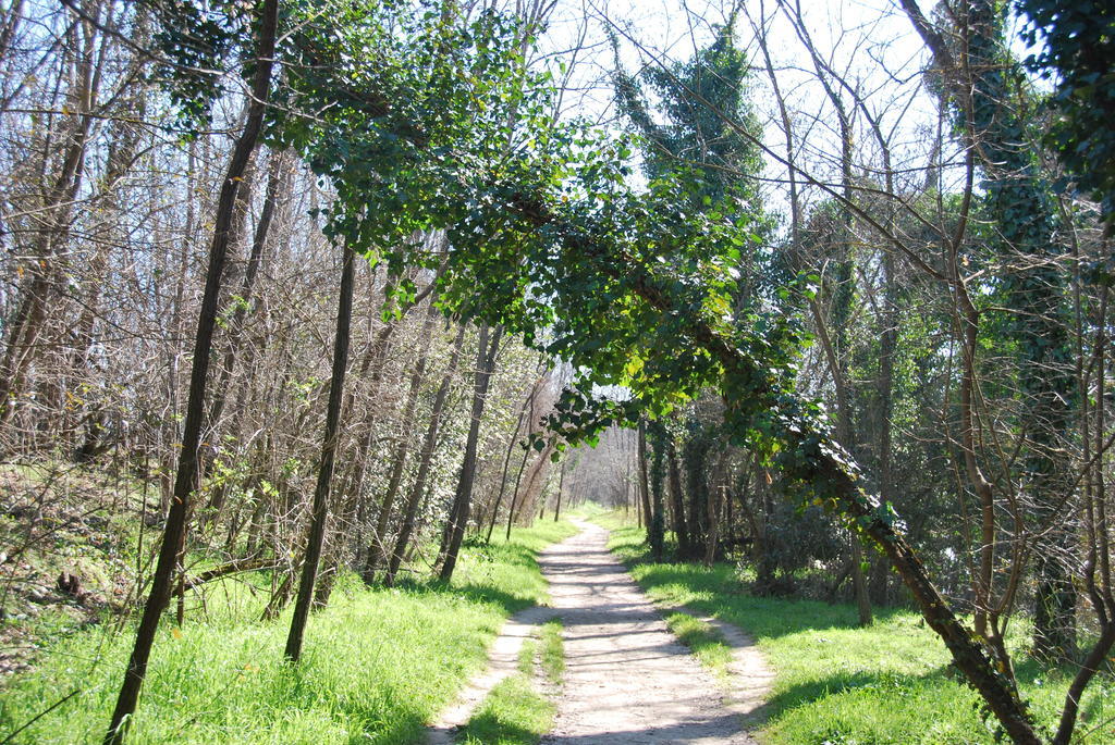 B&B Percorso Verde Ponte Valleceppi Buitenkant foto